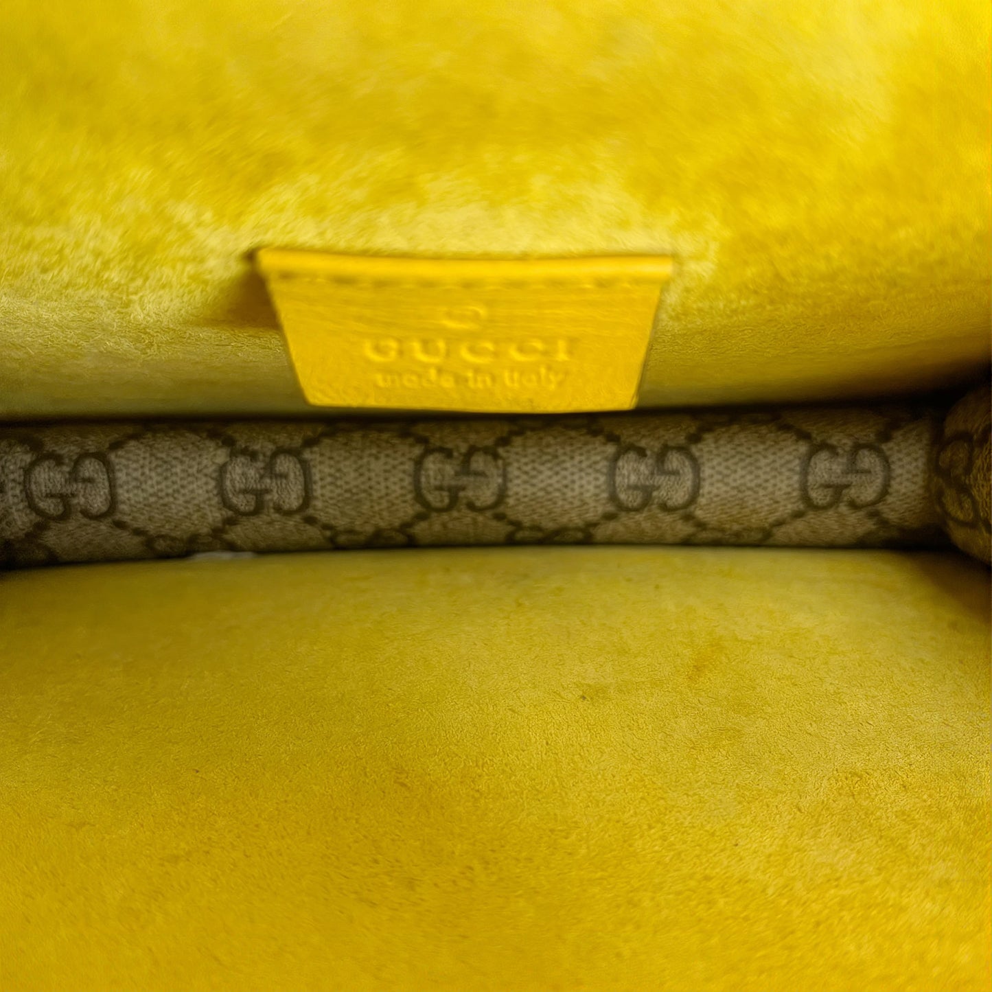 Dionysus Mini Chain Bag