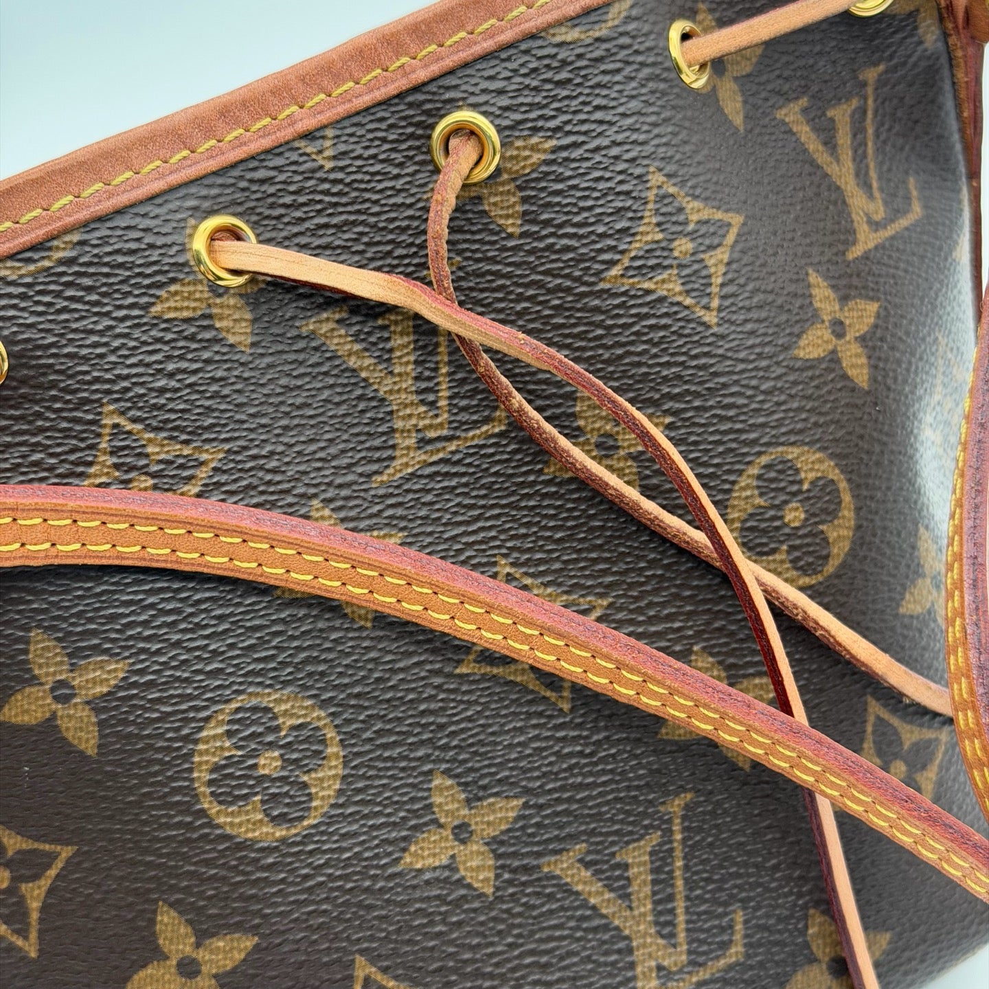 Louis Vuitton Bucket & Drawstring Bag