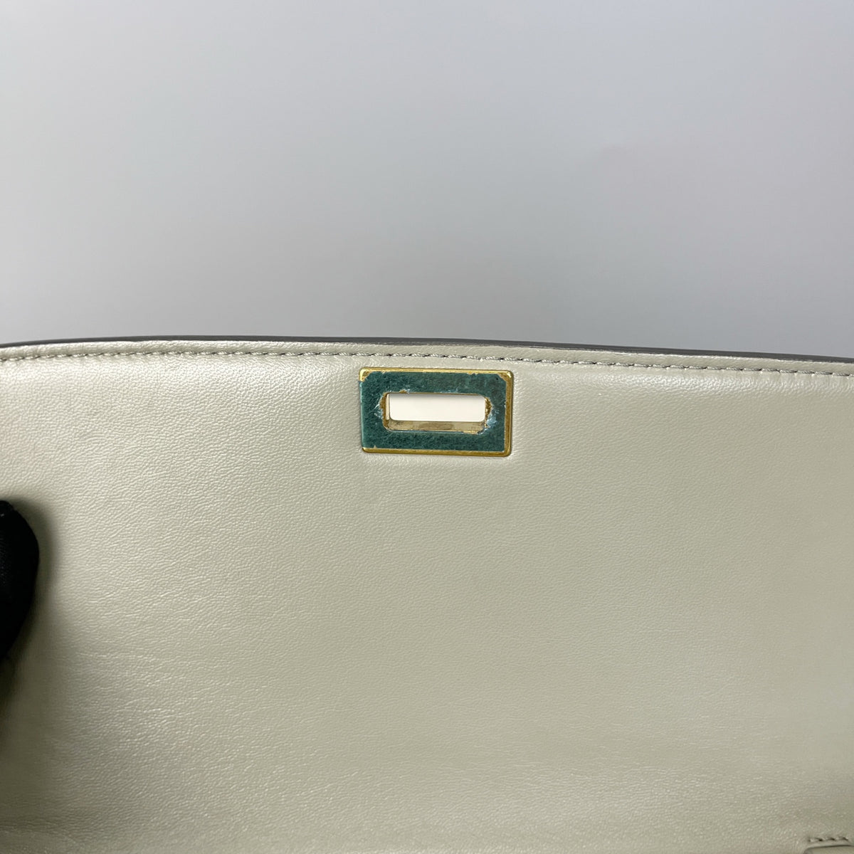 Celine Green 164173XLA29PG
