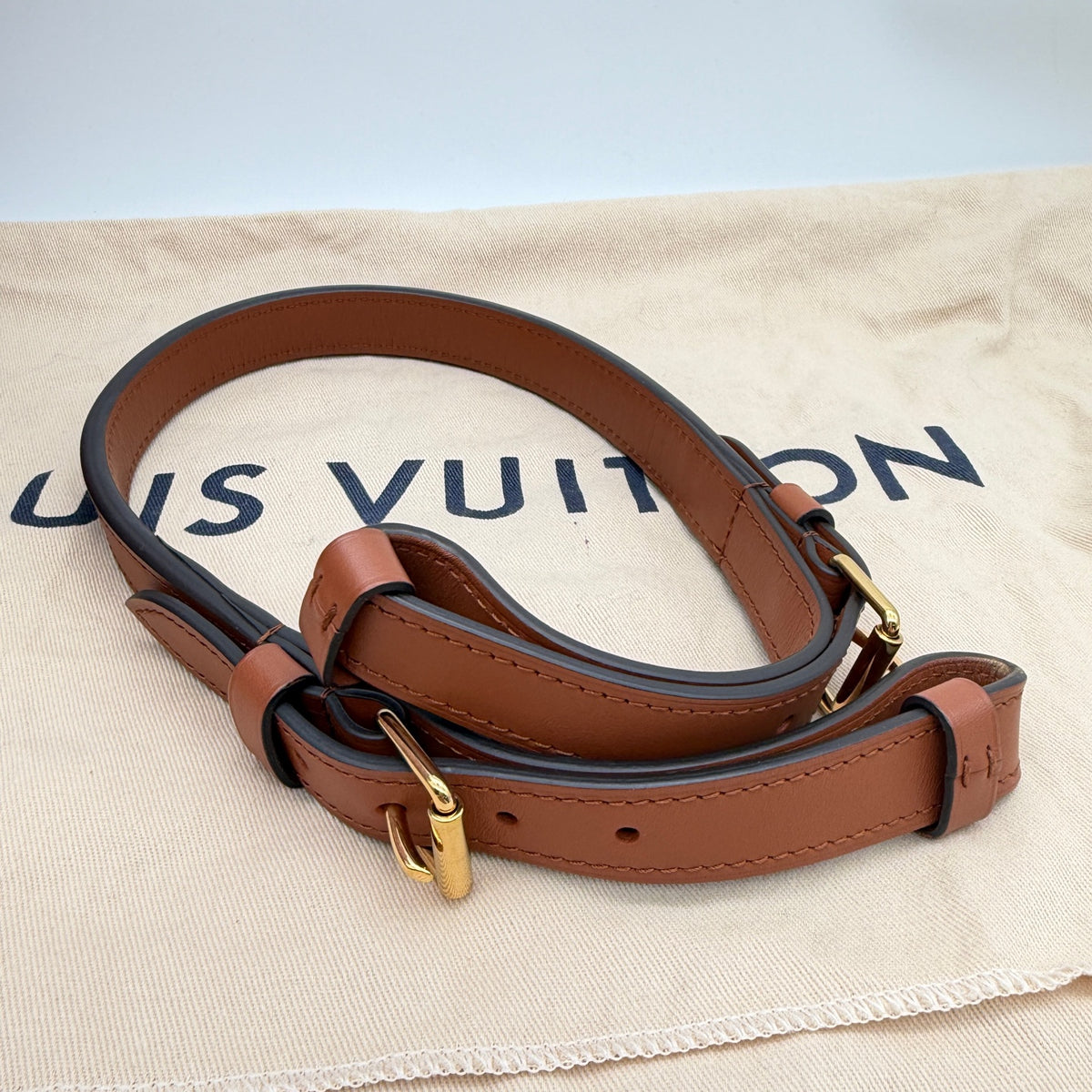 Louis Vuitton Bucket & Drawstring Bag