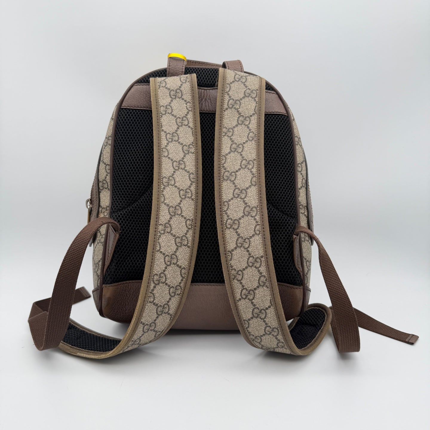 Gucci Canvas Brown Backpack