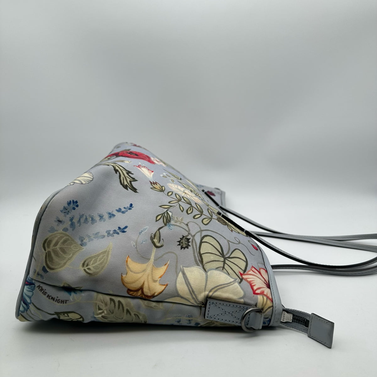 Gucci Canvas