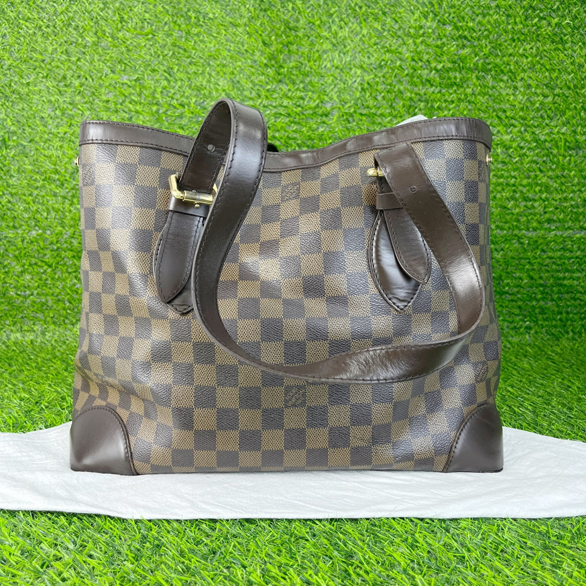 Louis Vuitton Tote N51205