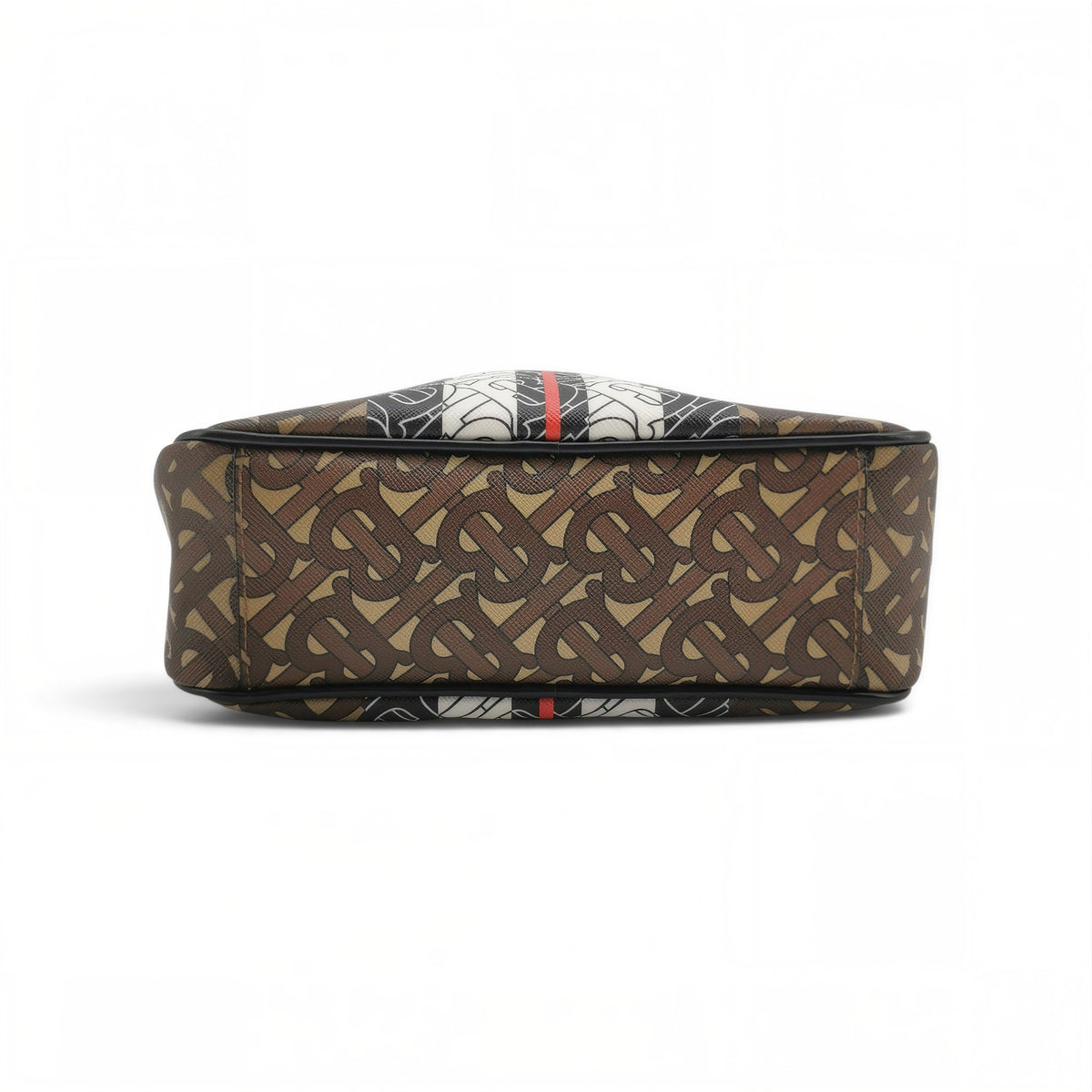 Monogram Stripe Camera Bag