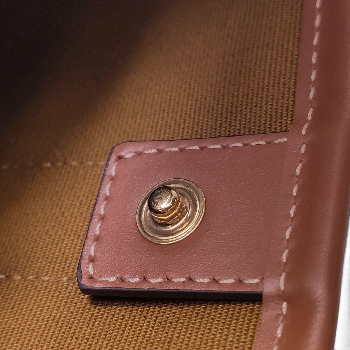 Small Trumpet Bucket Bag in Triomphe Canvas