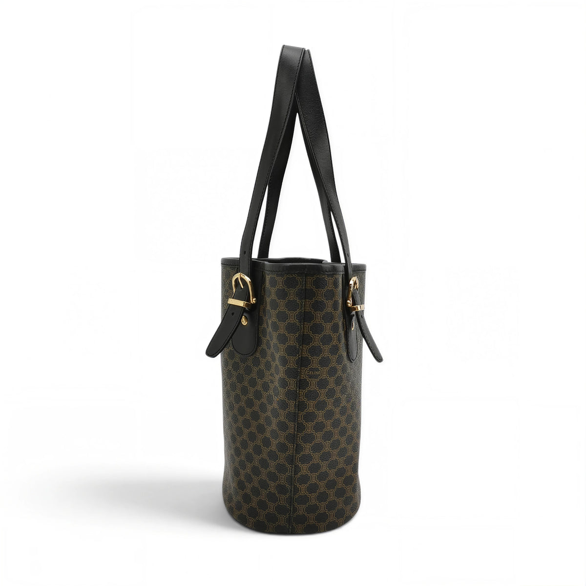 Small Bucket Bag in Triomphe Canvas