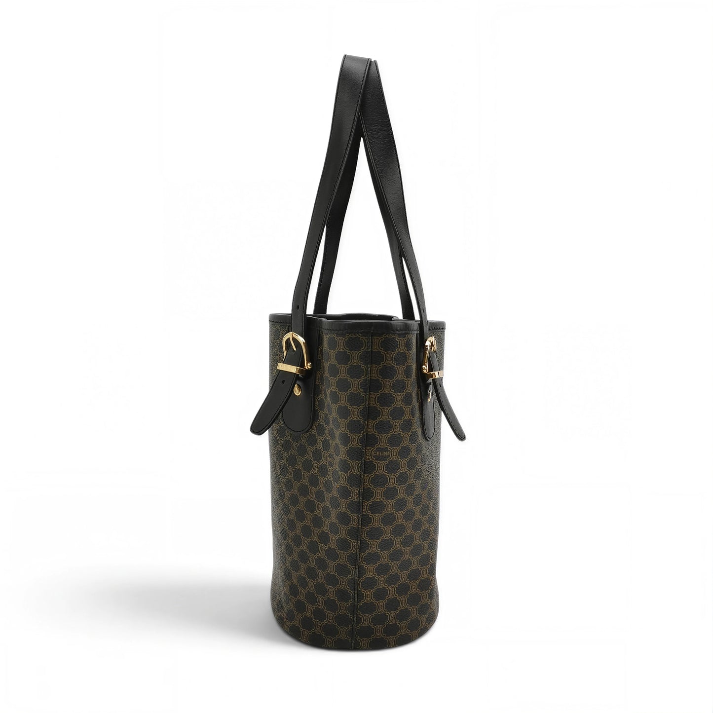 Small Bucket Bag in Triomphe Canvas