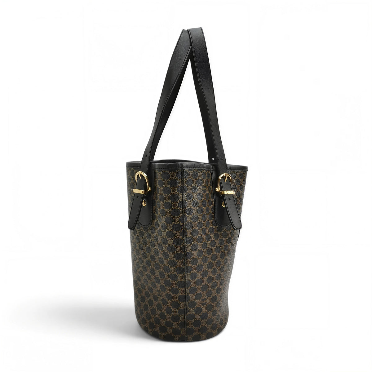 Small Bucket Bag in Triomphe Canvas