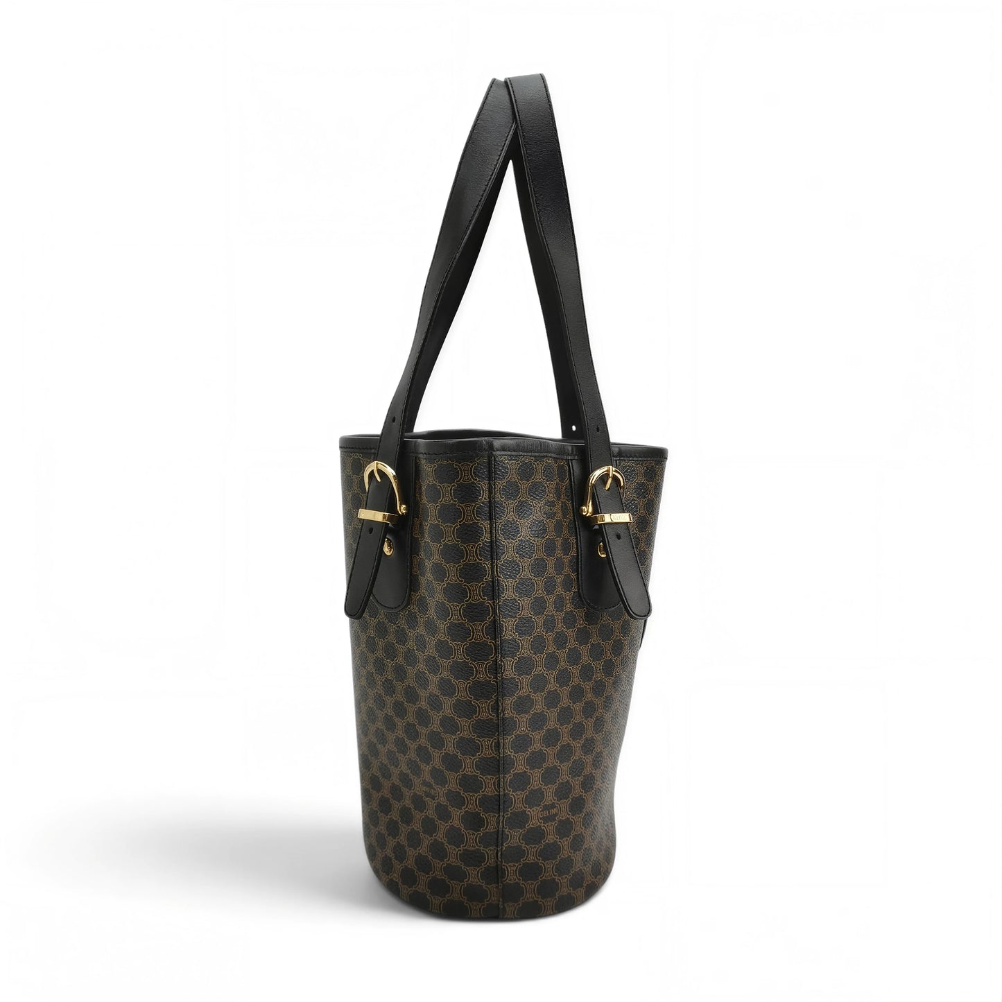 Small Bucket Bag in Triomphe Canvas