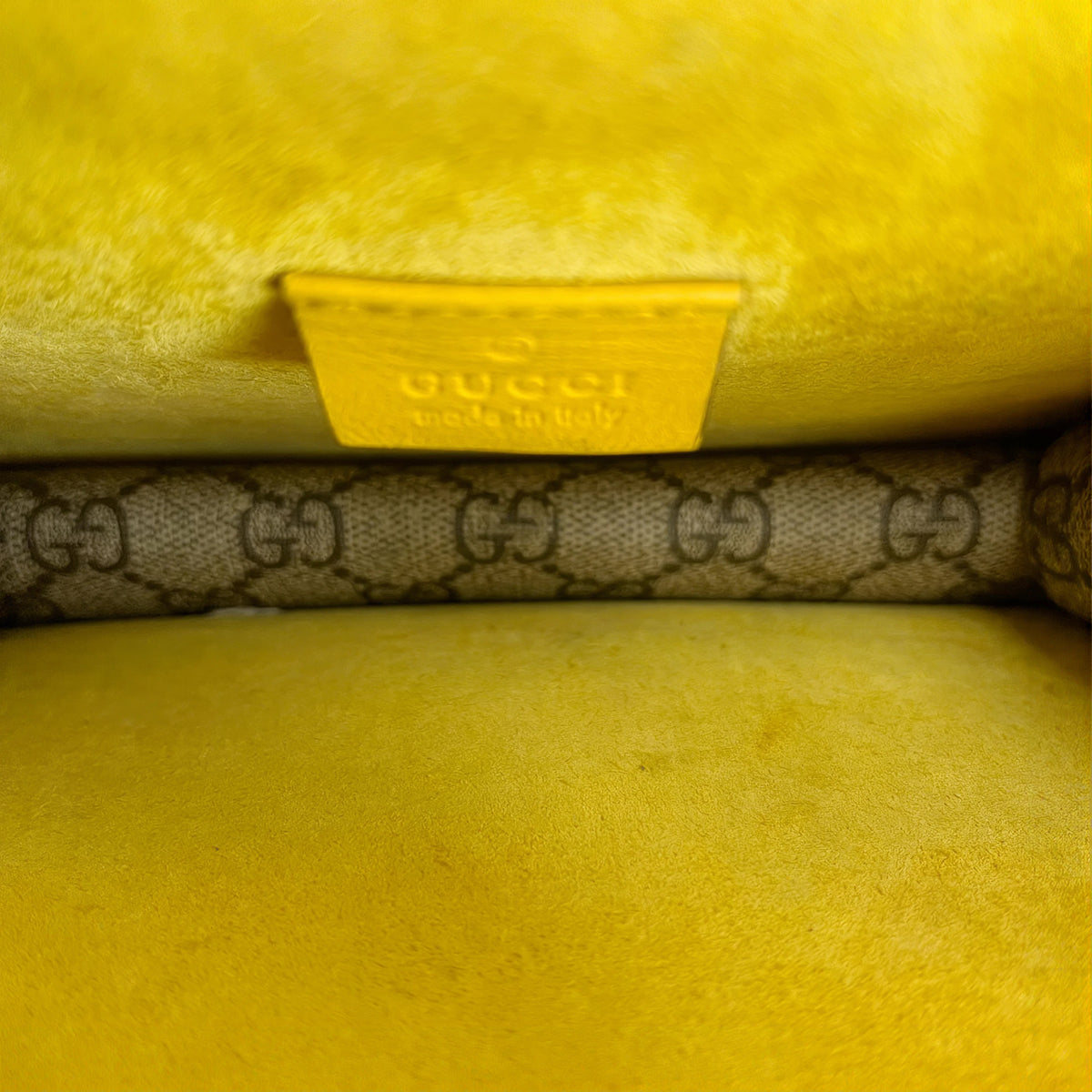 Dionysus Mini Chain Bag