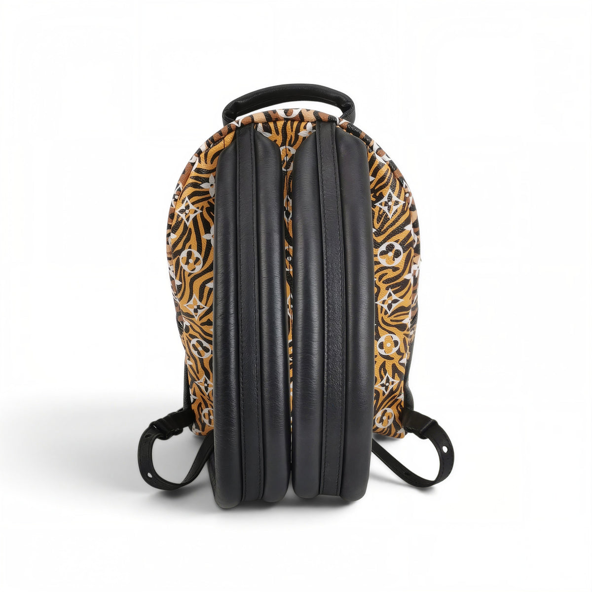 Palm Springs Backpack Mini